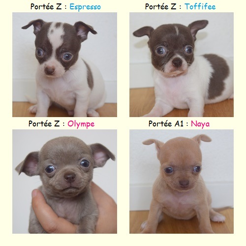 Espresso-Toffifee-Olympe-Naya
