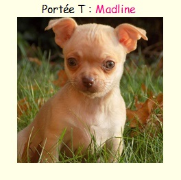 Madline