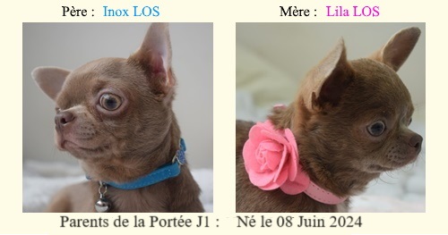 Parents-de-la-Portee-J1
