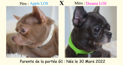 Parents de la portée G1