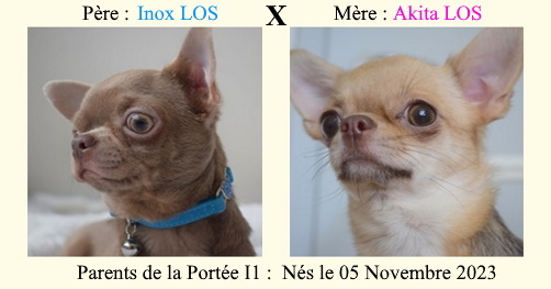 Parents-de-la-portee-I1