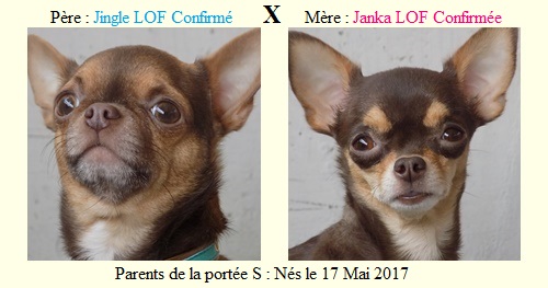 Parents-de-la-portee-S
